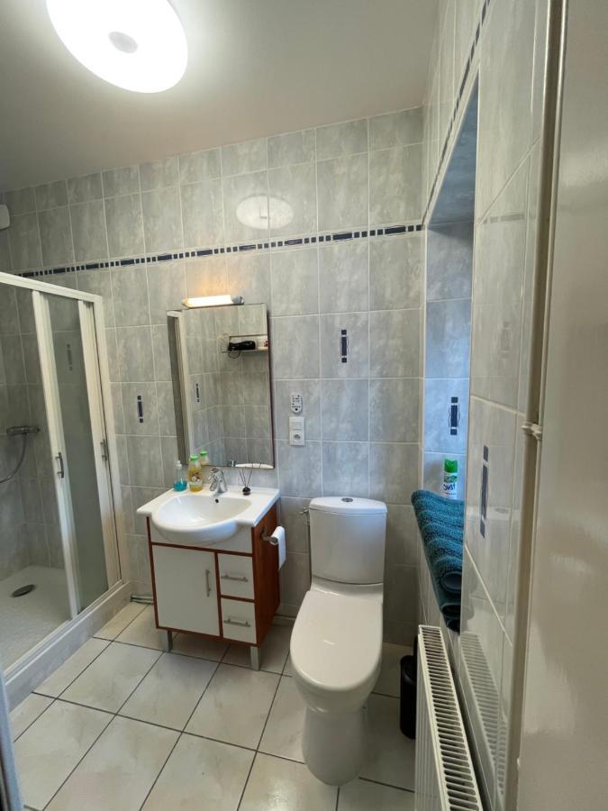 Apartment La Comete - Dore 4 Pers *